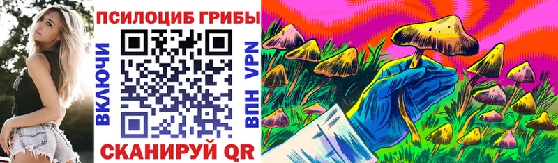 Галлюциногенные грибы мухоморы  Купить закладки  Стародуб 